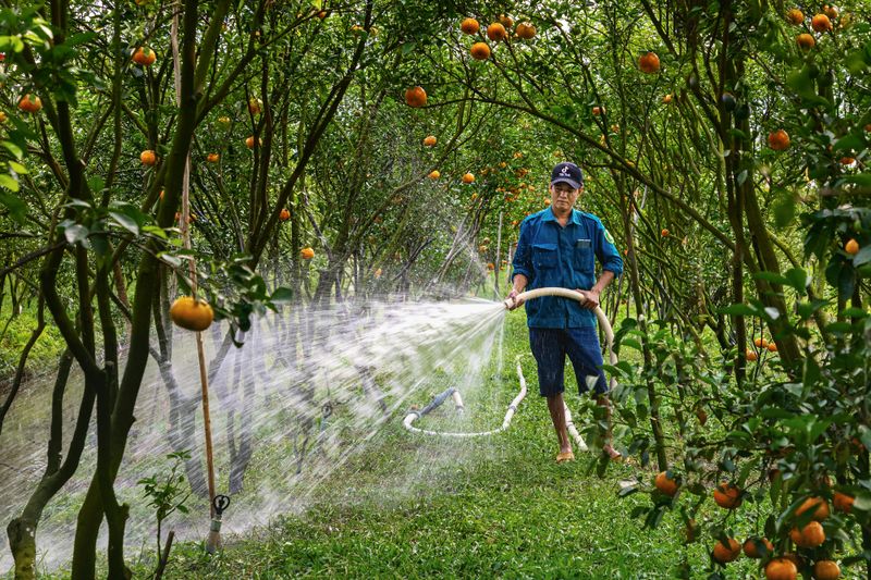 Early Watering To Support Establishment