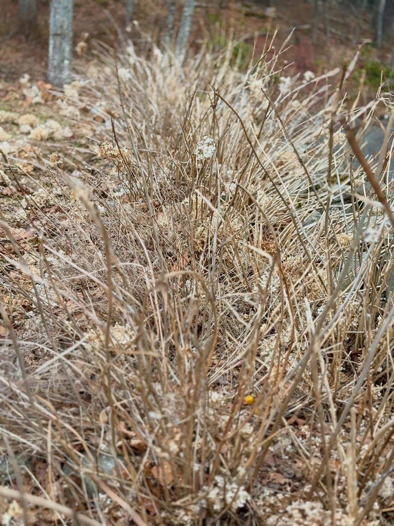 Prune Only The Right Types At The Right Time