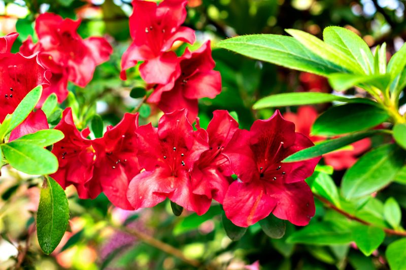 Maintain Proper Sun Exposure