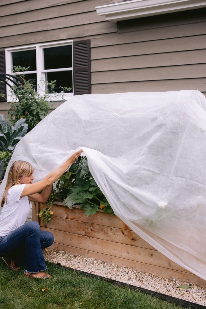 Watch For Late Frosts
