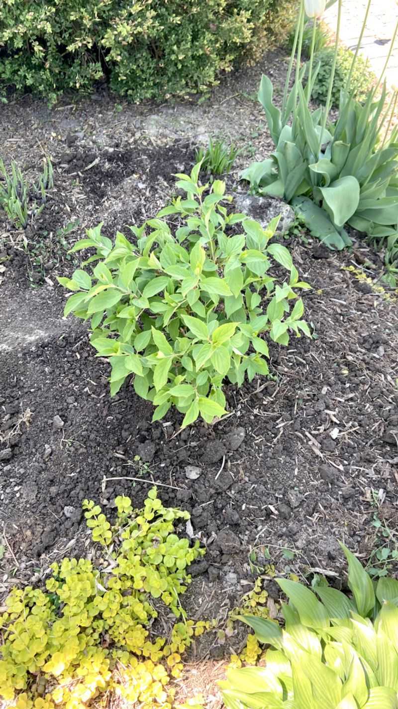 Check Soil Drainage In Clay Areas