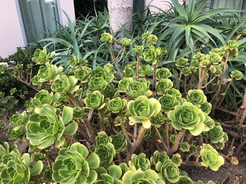 Hold Off On Fertilizer