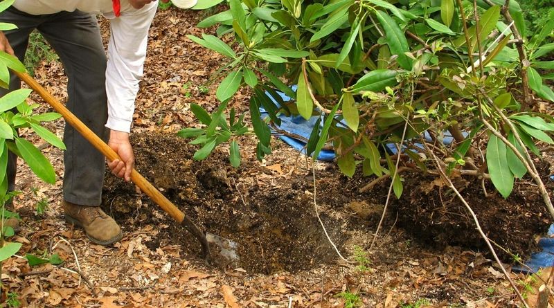 Check Soil Moisture Levels