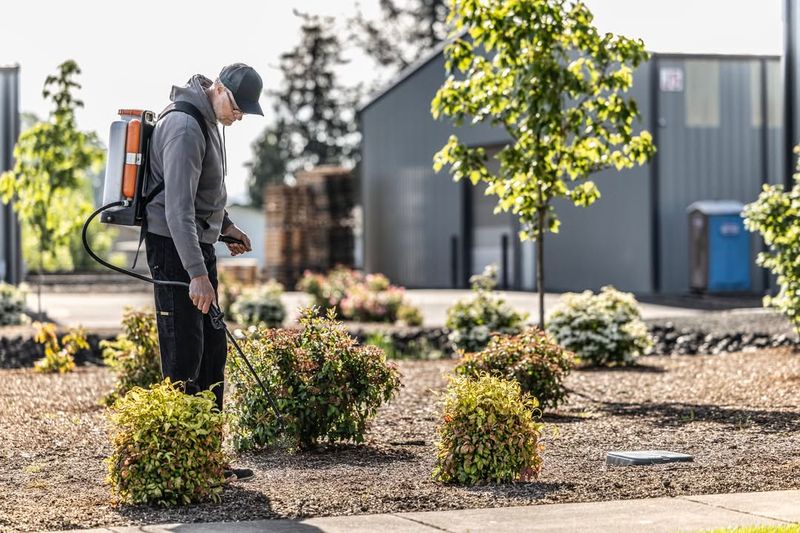 Apply Pre-Emergent Weed Control