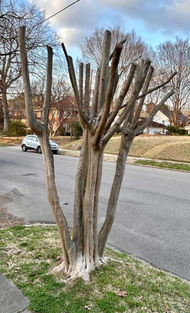 Avoid Heavy Pruning At All Costs