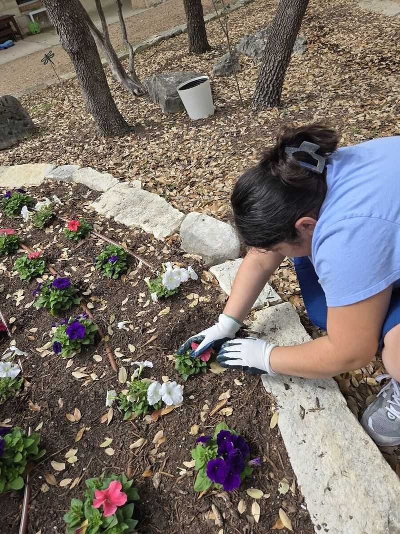 Clean Up Garden Beds Carefully