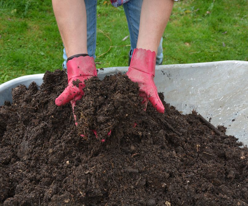 Add Compost And Soil Amendments