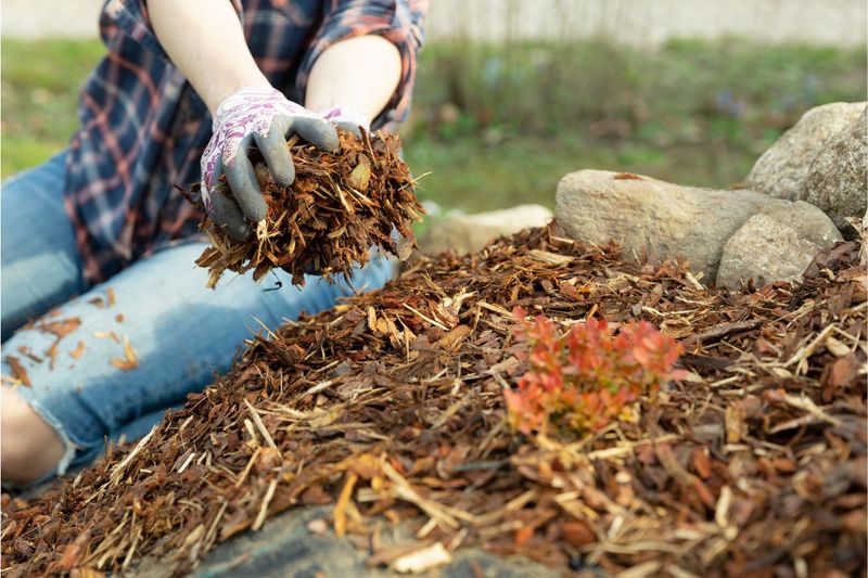 Apply Mulch To Retain Moisture