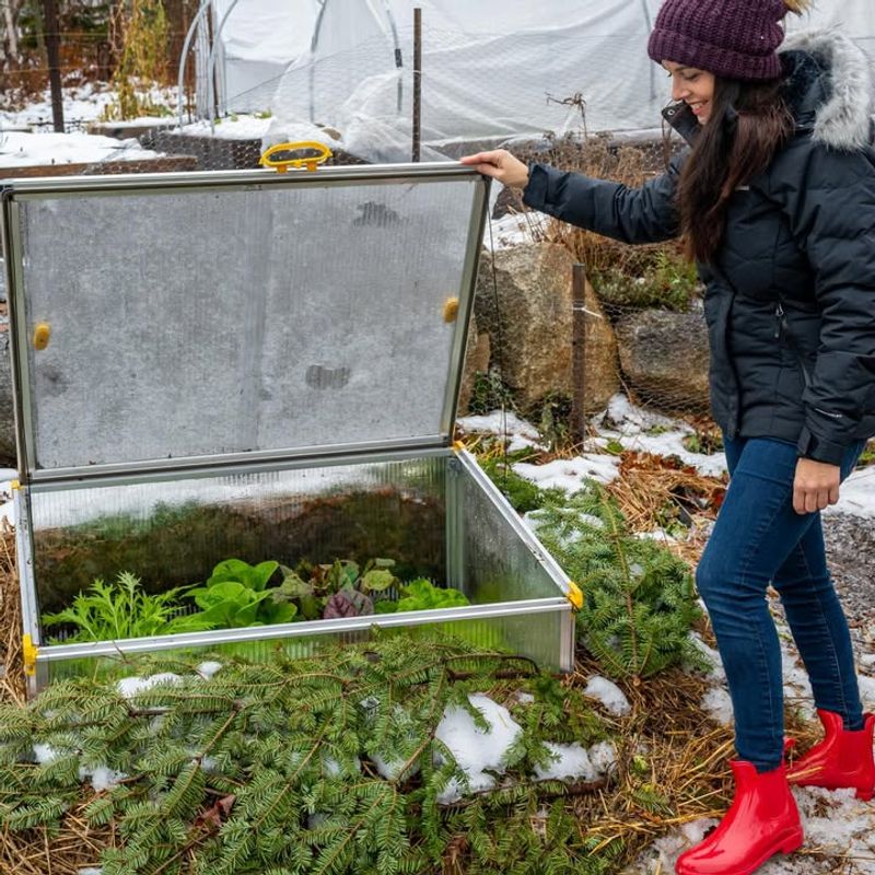 Check Cold Frames And Frost Protection