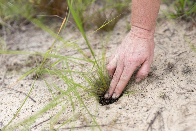 Watering Irrigated Plants While They Are Still Frozen
