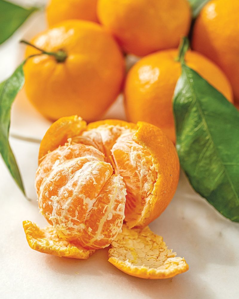 Choosing Varieties Unsuited To Texas Climates