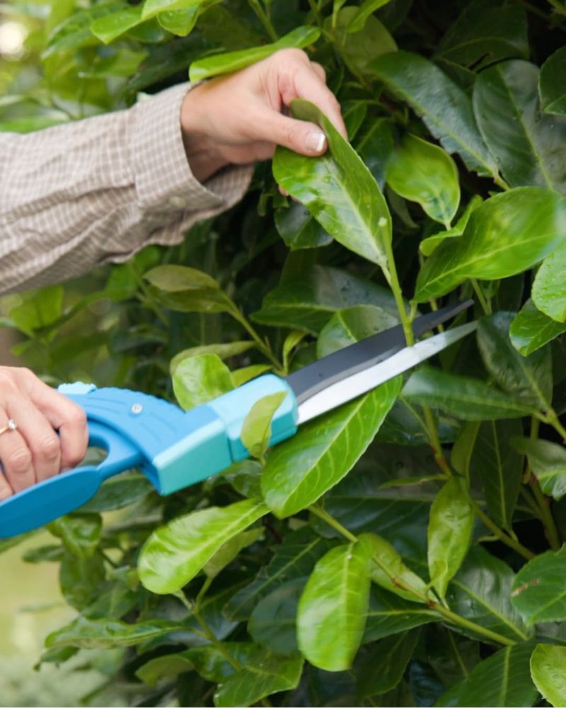 Trimming Is Often Done More Frequently