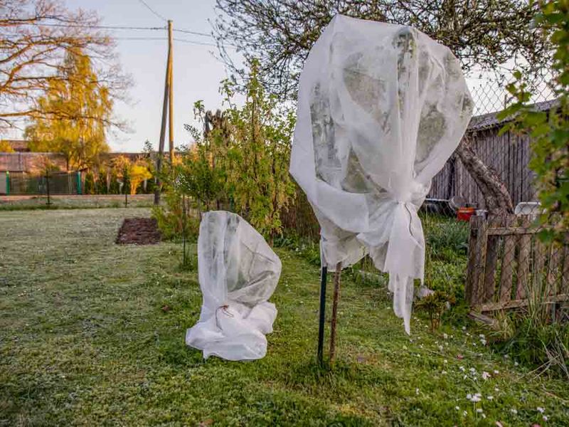 Not Preparing For Sudden Cold Snaps