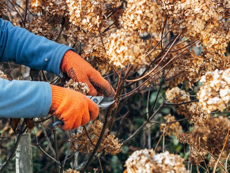 Skipping Damaged Branches