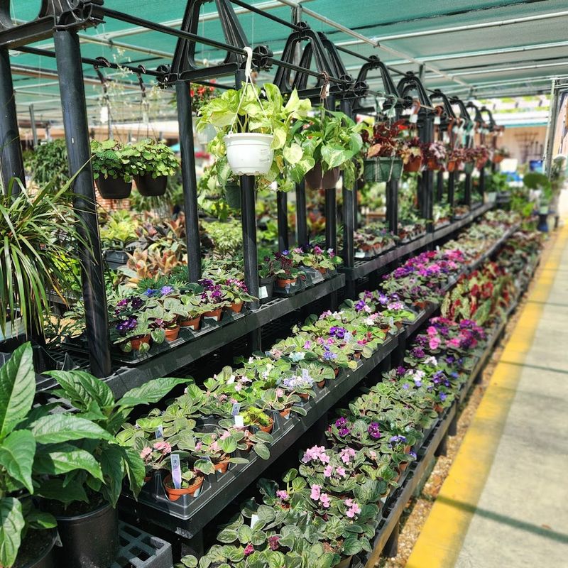 Lukas Nursery & Butterfly Encounter's Blooming Tribute