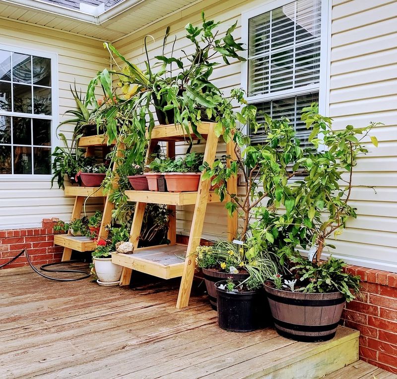 Tiered Plant Stands
