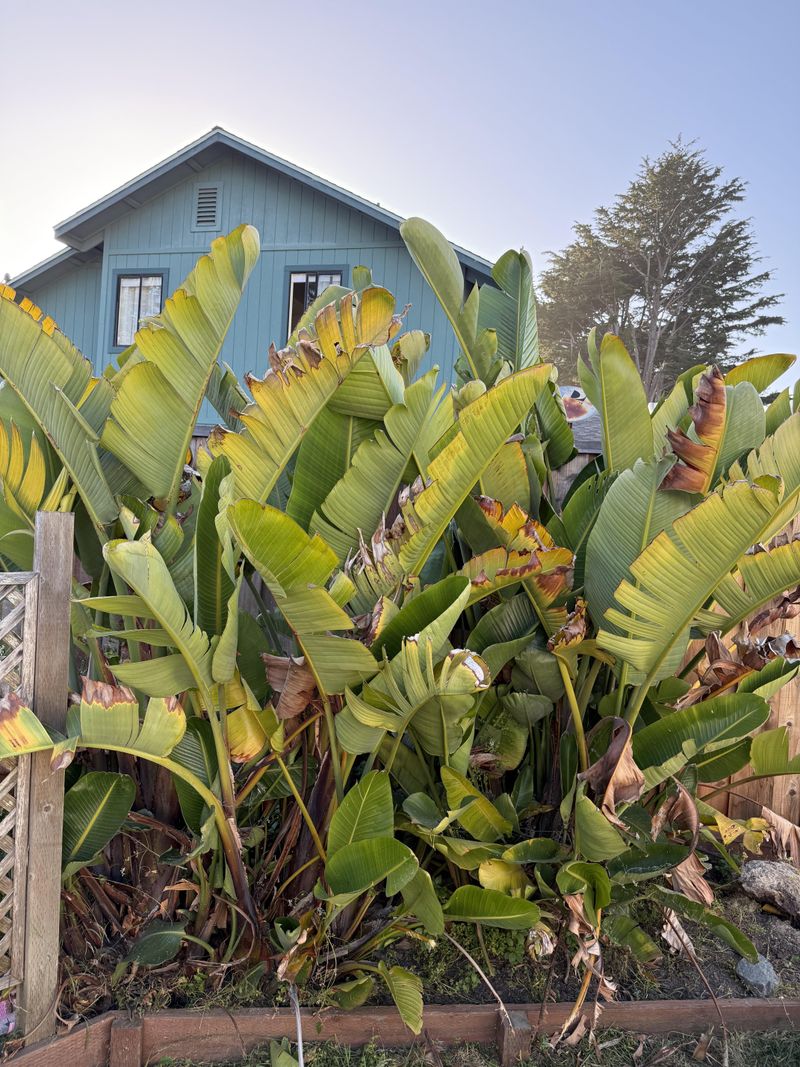 Overwatering Often Hides In Plain Sight