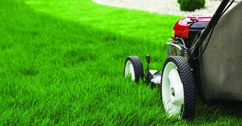 Follow The One-Third Rule For Stronger Lawns