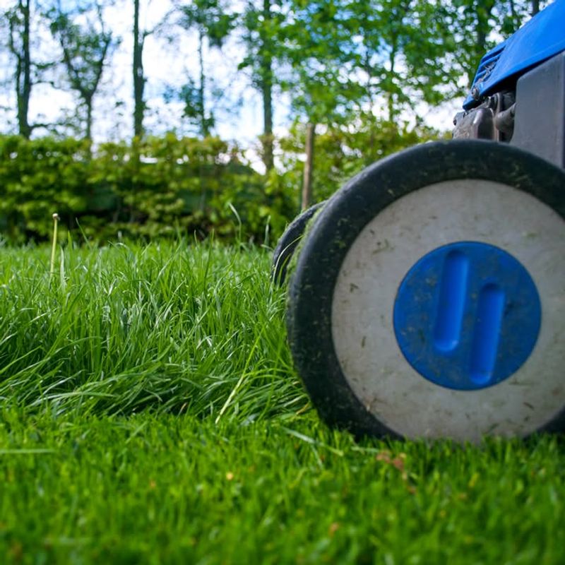 Taller Grass Helps Shade The Soil