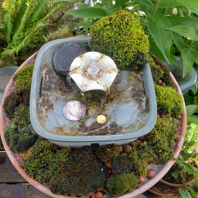 Ceramic Planter Drip Dishes That Secretly Quench Thirsts