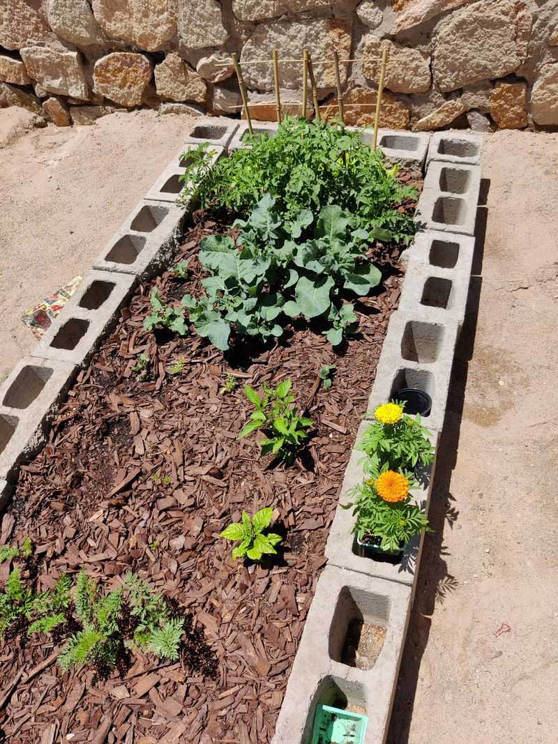 Concrete Or Cinder Block Edging