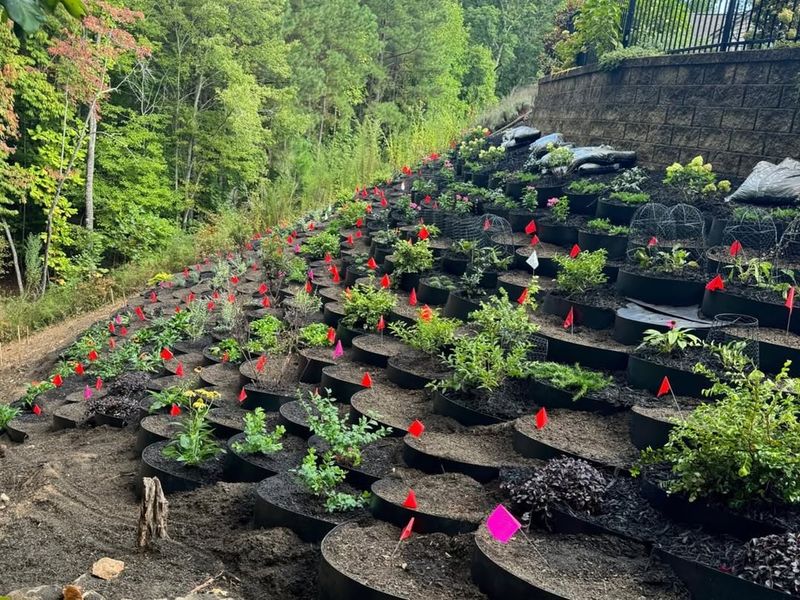 Keep Soil In Place On Slopes