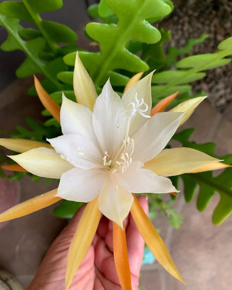 Be Patient And Avoid Sudden Changes