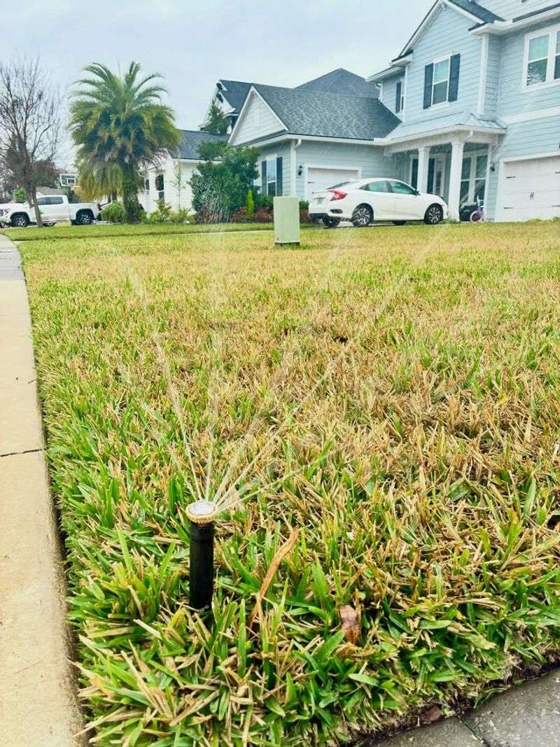 Check Irrigation Systems Before Heat Arrives