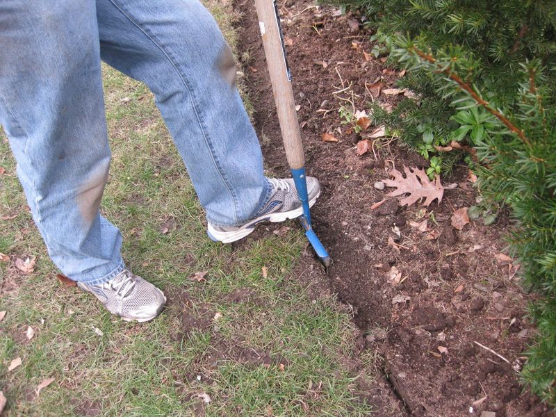 Define Bed Edges For A Clean And Manageable Layout