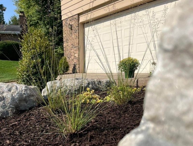 Follow Seasonal Tips To Keep Gardens Lush All Year