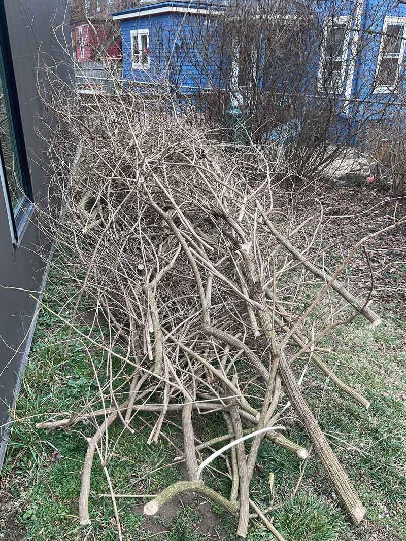 The Empty Space Needs A Plan Or It Will Happen Again