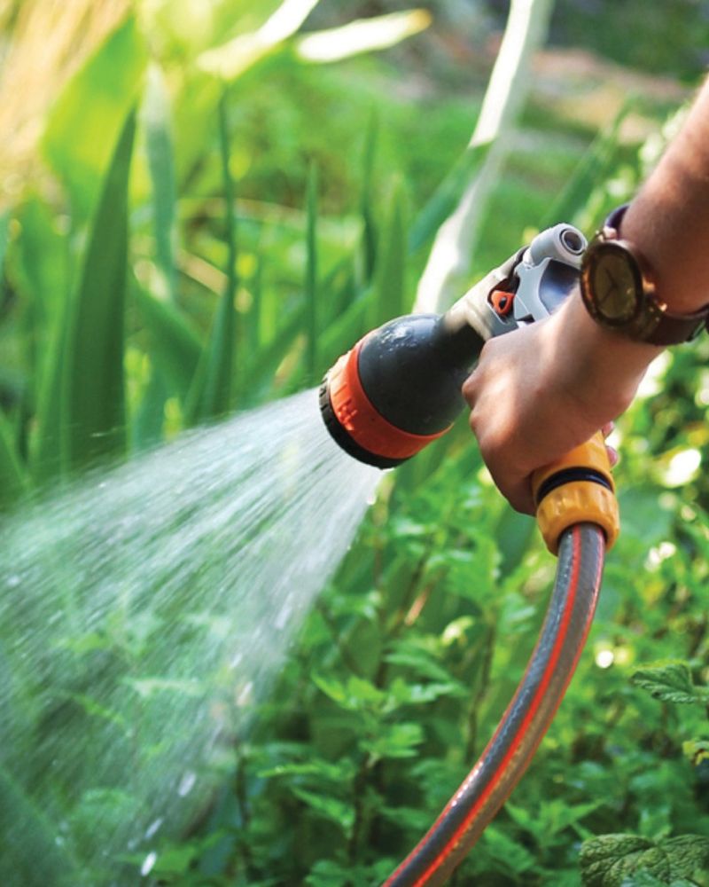 Water Deeply Instead Of Frequently To Limit Nesting Areas