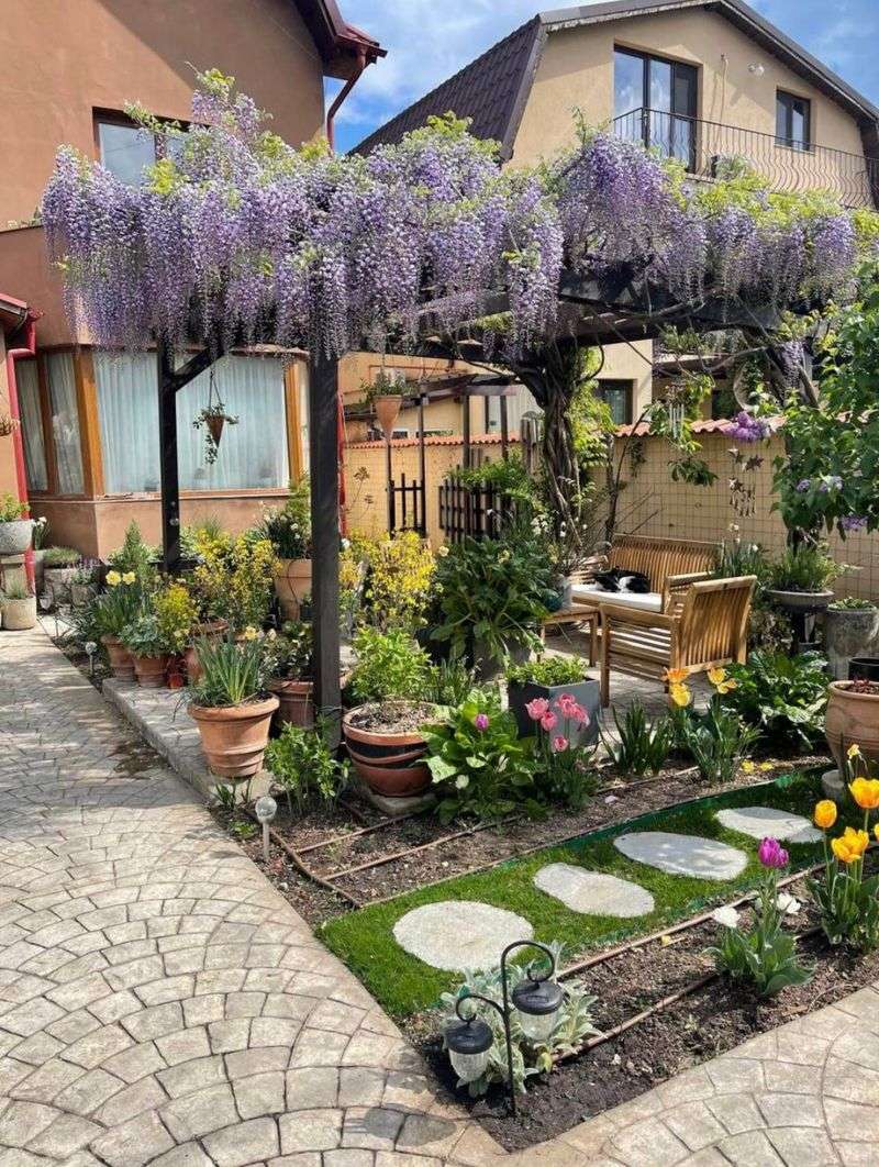 Train Strong Vines Along Pergolas, Fences, Or Trellises