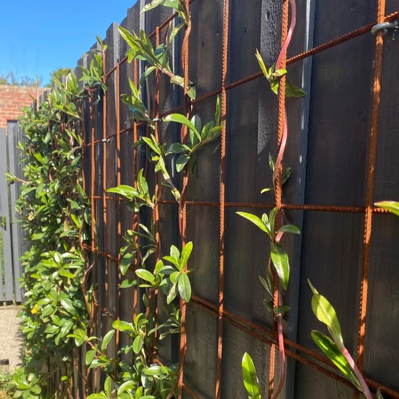 Space Stems Out For Better Airflow And Light