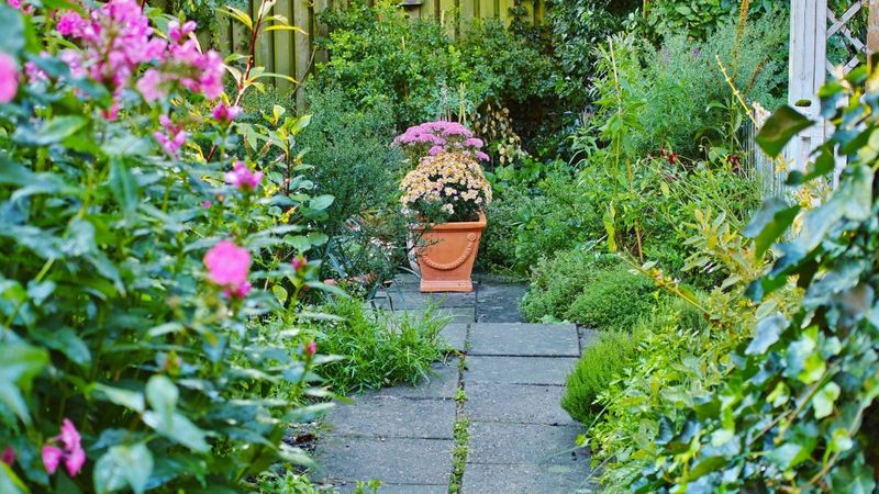 Let Plants Overlap For A More Natural Finish