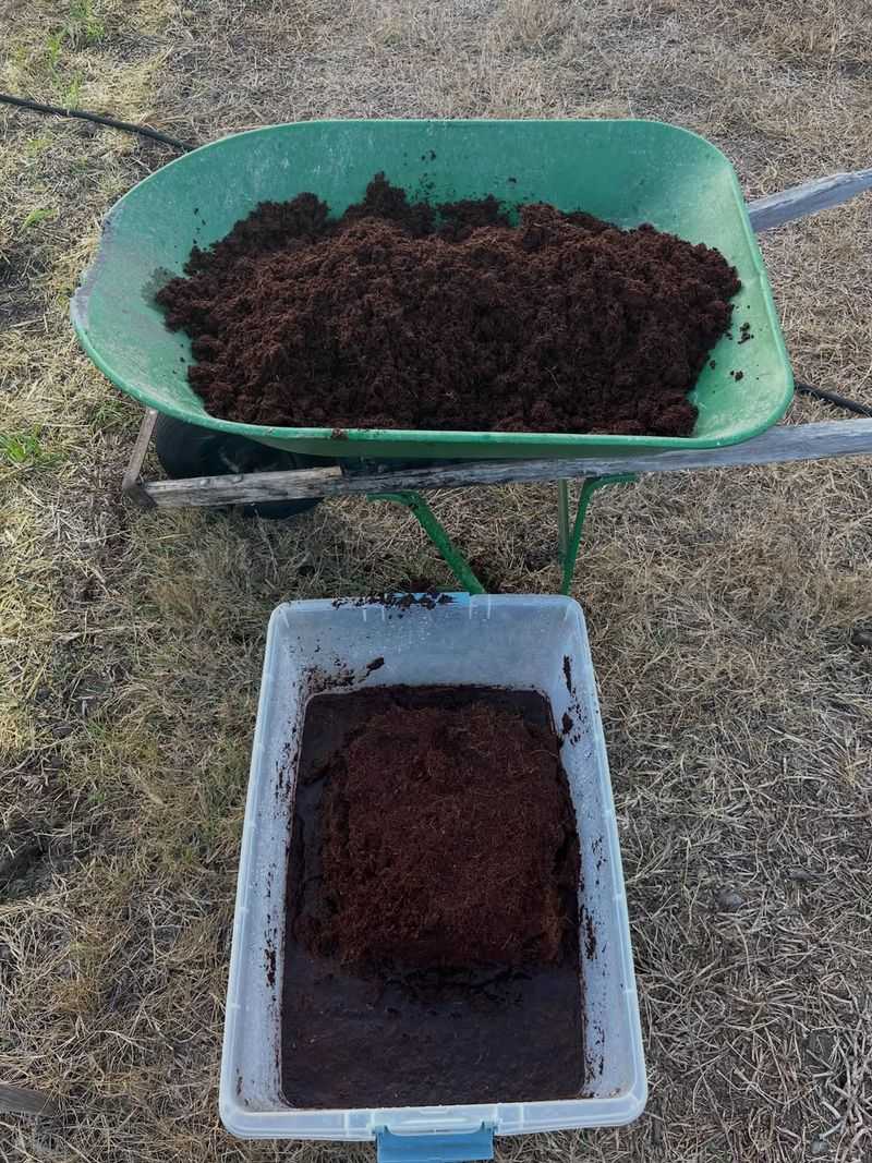 Add Mulch To Container Tops To Reduce Soil Temperature