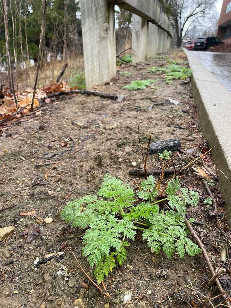 Stay Informed And Keep Your Property Safe Year Round