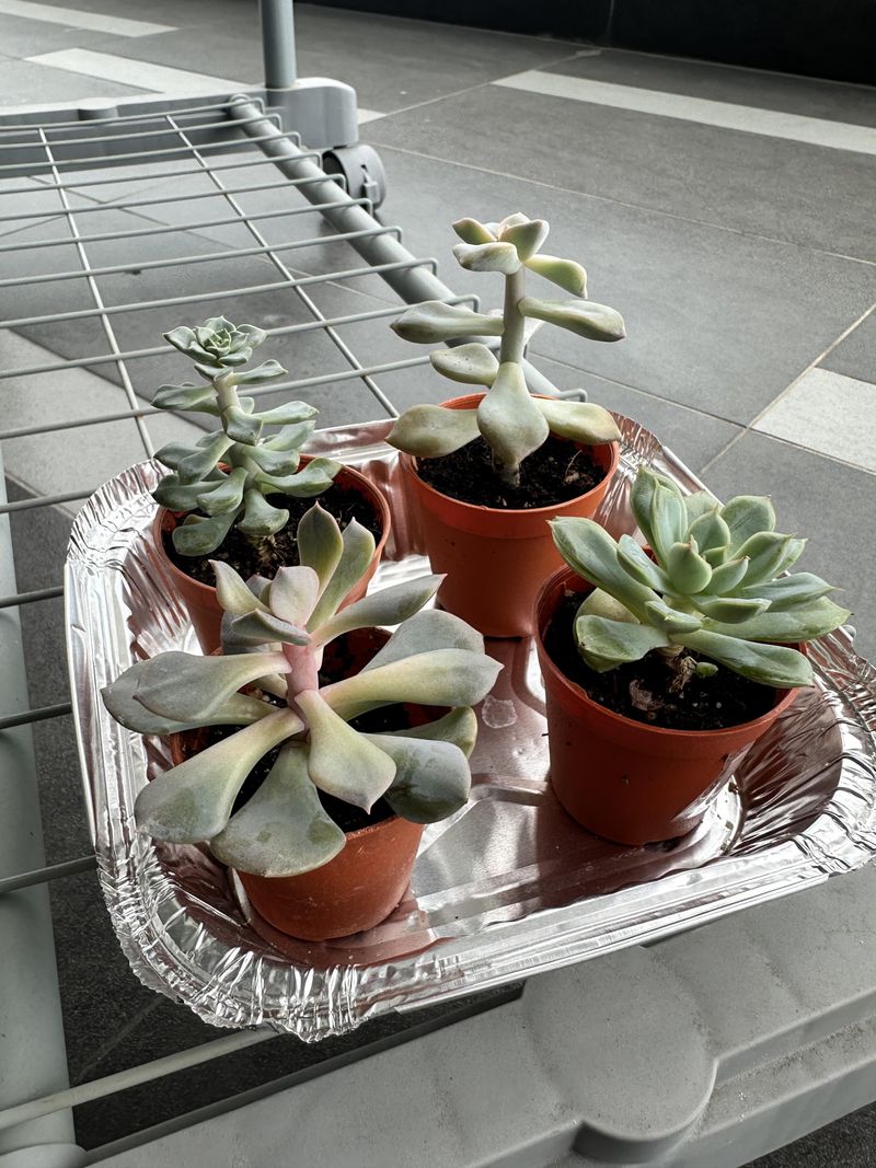 Adjust Light Exposure