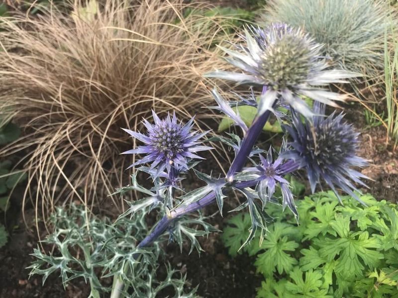 Strong And Relentless Coastal Winds