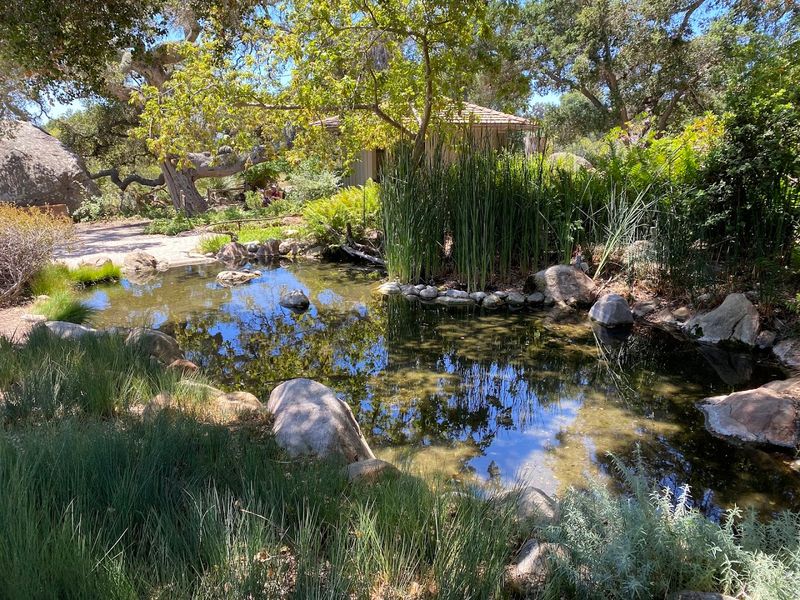 Santa Barbara Botanic Garden