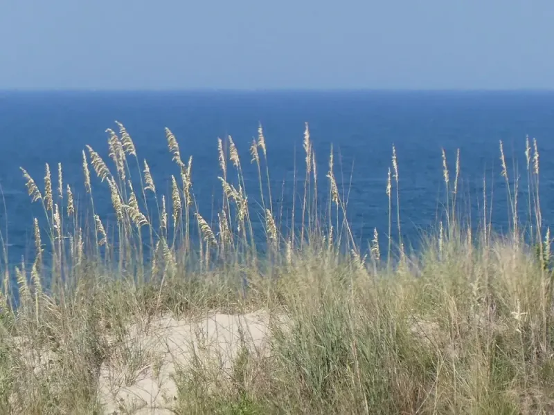 Salt Exposure From The Ocean