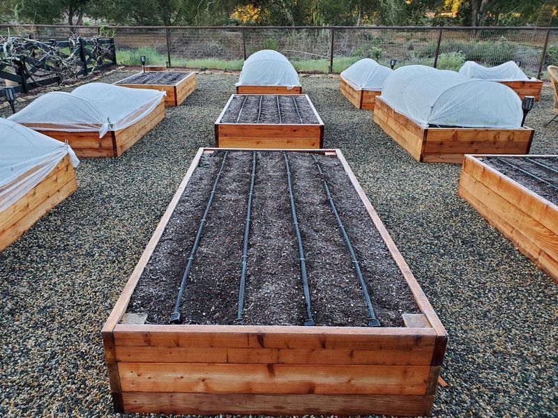 Frost Heave Shifts The Ground Beneath Beds