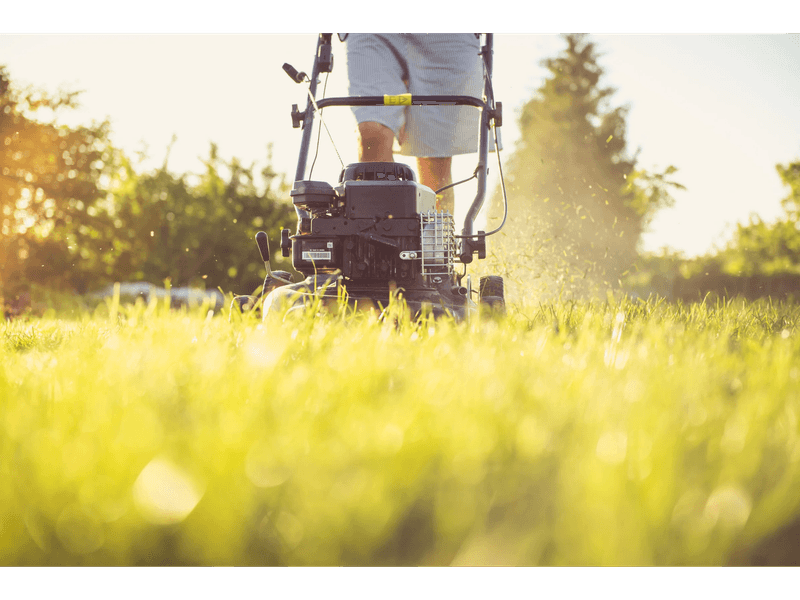 Cool Season Grass Needs A Gentle Start Not A Close Cut