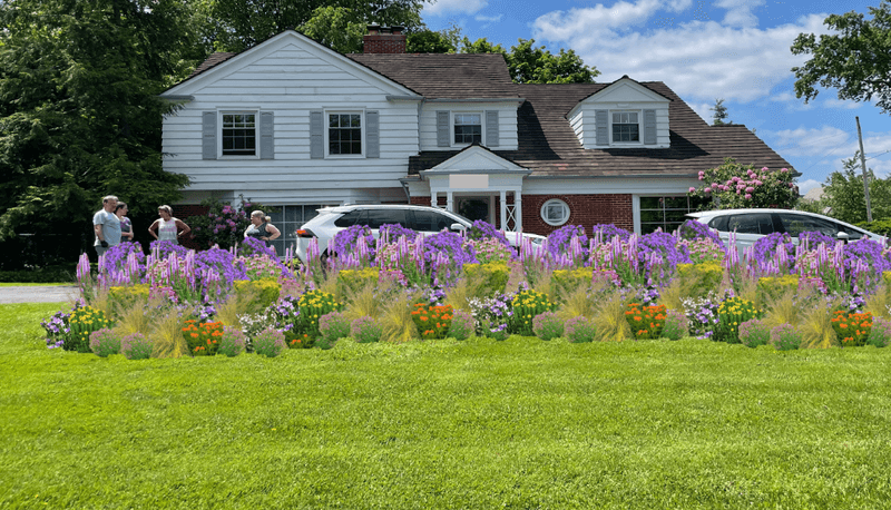 Connect With Ohio Native Plant Communities For Support