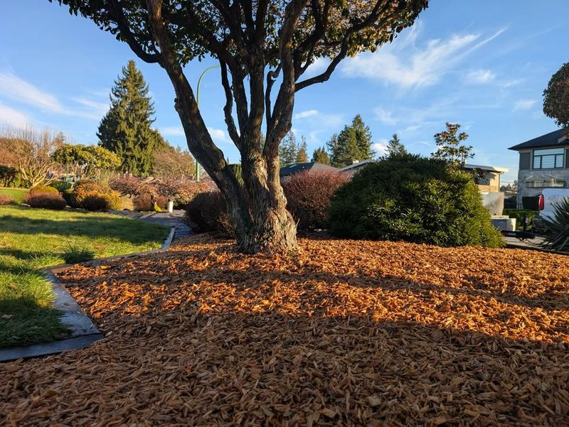 Add Fresh Mulch To Protect Soil And Retain Moisture