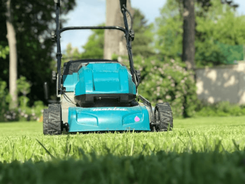 The Benefits Of Mowing Regularly During Spring