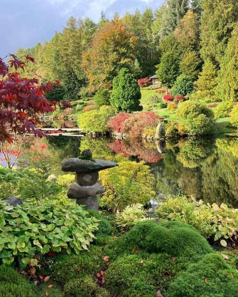 In Some Oregon Yards, Moss Fits The Site Better Than Turf