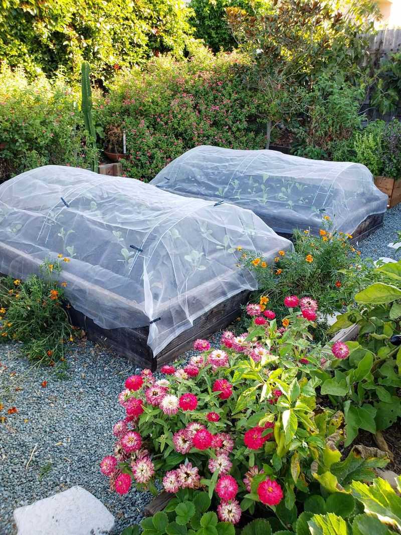 Hoop Frames Make Midday Protection Easy In Florida Gardens