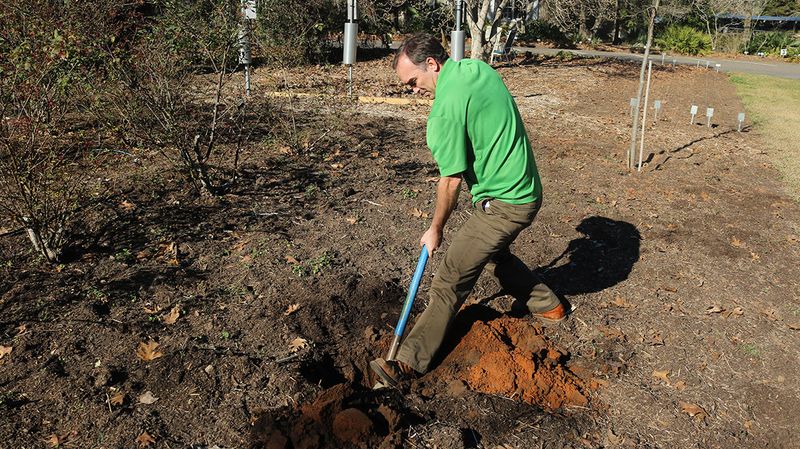 South Florida Soil Changes Everything