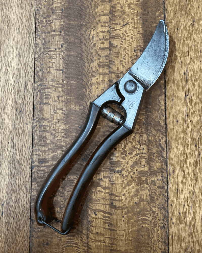 Use Clean, Sharp Pruners For Smooth Cuts